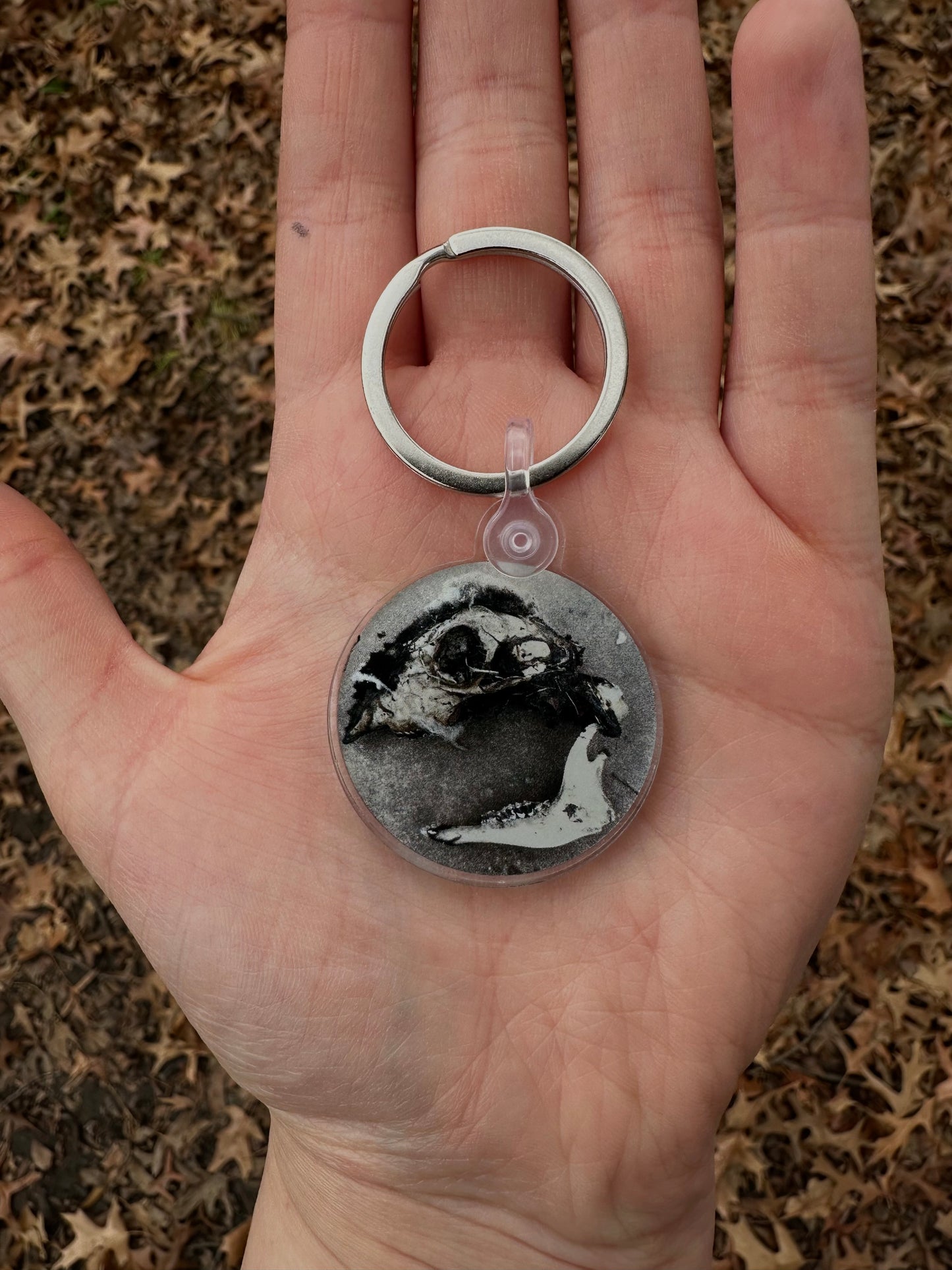 Sheep Skull Keychain